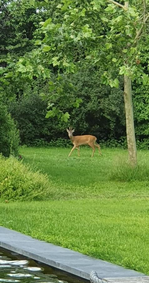 De Appelhoeve Terschuur Dış mekan fotoğraf